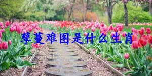 孳蔓难图是什么生肖