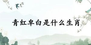 青红皁白是什么生肖（青红皁白打一生肖动物）