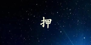 押字打一生肖（押字是什么生肖）