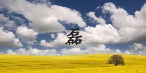 磊字打一生肖（磊字是什么生肖）