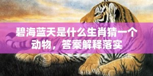 碧海蓝天是什么生肖猜一个动物，答案解释落实