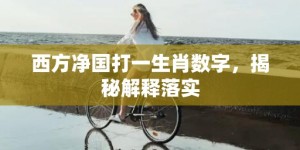 西方净国打一生肖数字，揭秘解释落实