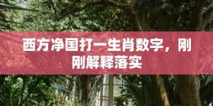 西方净国打一生肖数字，刚刚解释落实