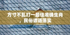 方寸不乱打一最佳准确生肖，民俗谚语落实