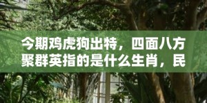 今期鸡虎狗出特，四面八方聚群英指的是什么生肖，民俗谚语解释落实