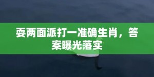 耍两面派打一准确生肖，答案曝光落实