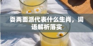 耍两面派代表什么生肖，词语解析落实