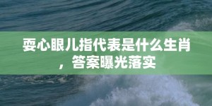 耍心眼儿指代表是什么生肖，答案曝光落实