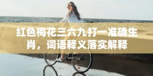 红色梅花三六九打一准确生肖，词语释义落实解释