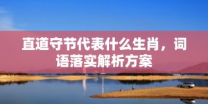 直道守节代表什么生肖，词语落实解析方案