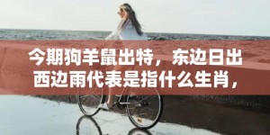 今期狗羊鼠出特，东边日出西边雨代表是指什么生肖，成语释义解释落实