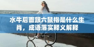 水牛后面跟六鼠指是什么生肖，成语落实释义解释