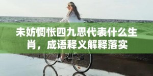 未妨惆怅四九思代表什么生肖，成语释义解释落实