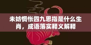 未妨惆怅四九思指是什么生肖，成语落实释义解释