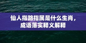 仙人指路指属是什么生肖，成语落实释义解释