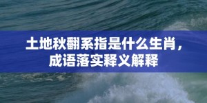 土地秋翻系指是什么生肖，成语落实释义解释