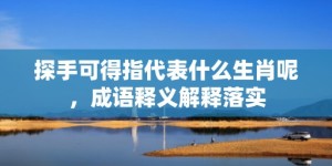 探手可得指代表什么生肖呢，成语释义解释落实