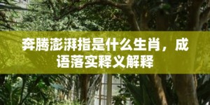 奔腾澎湃指是什么生肖，成语落实释义解释