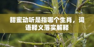 甜蜜动听是指哪个生肖，词语释义落实解释