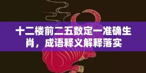 十二楼前二五数定一准确生肖，成语释义解释落实