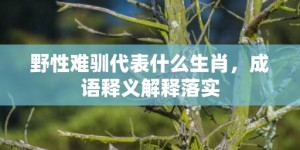 野性难驯代表什么生肖，成语释义解释落实