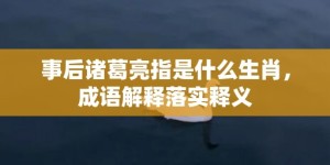 事后诸葛亮指是什么生肖，成语解释落实释义