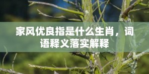 家风优良指是什么生肖，词语释义落实解释