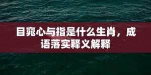 目窕心与指是什么生肖，成语落实释义解释