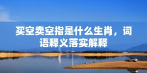 买空卖空指是什么生肖，词语释义落实解释