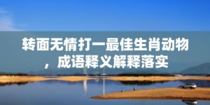 转面无情打一最佳生肖动物，成语释义解释落实