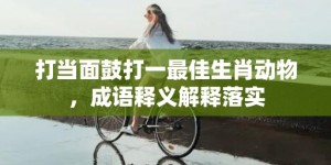 打当面鼓打一最佳生肖动物，成语释义解释落实