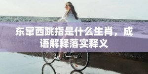 东窜西跳指是什么生肖，成语解释落实释义