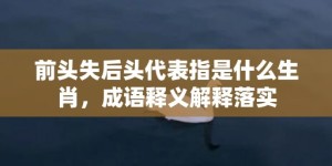 前头失后头代表指是什么生肖，成语释义解释落实