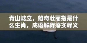 青山屹立，雄奇壮丽指是什么生肖，成语解释落实释义