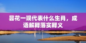 昙花一现代表什么生肖，成语解释落实释义