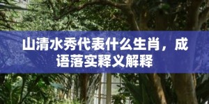 山清水秀代表什么生肖，成语落实释义解释