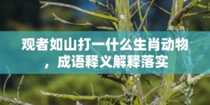 观者如山打一什么生肖动物，成语释义解释落实