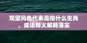 观望风色代表是指什么生肖，成语释义解释落实