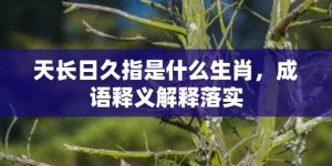 天长日久指是什么生肖，成语释义解释落实