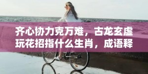 齐心协力克万难，古龙玄虚玩花招指什么生肖，成语释义解释落实