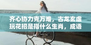 齐心协力克万难，古龙玄虚玩花招是指什么生肖，成语释义解释落实