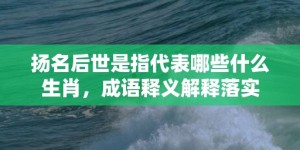 扬名后世是指代表哪些什么生肖，成语释义解释落实