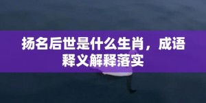 扬名后世是什么生肖，成语释义解释落实