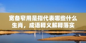 宽备窄用是指代表哪些什么生肖，成语释义解释落实