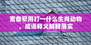 宽备窄用打一什么生肖动物，成语释义解释落实