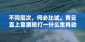 不同层次，何必比试。青云直上靠展翅打一什么生肖动物，成语释义解释落实