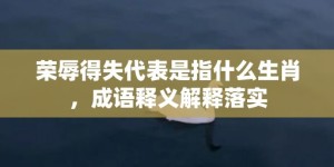 荣辱得失代表是指什么生肖，成语释义解释落实