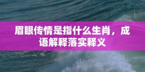 眉眼传情是指什么生肖，成语解释落实释义