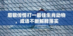 眉眼传情打一最佳生肖动物，成语不断解释落实