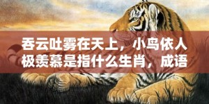 吞云吐雾在天上，小鸟依人极羡慕是指什么生肖，成语释义解释落实